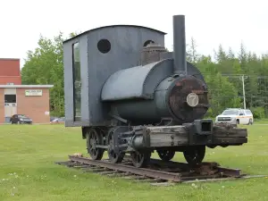 Mary March Provincial Museum