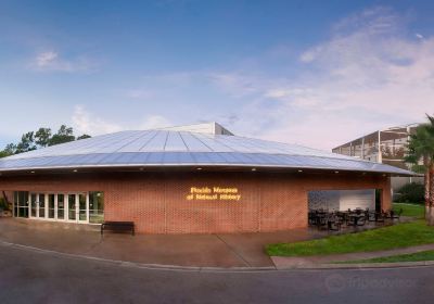 Musée d'histoire naturelle de Floride