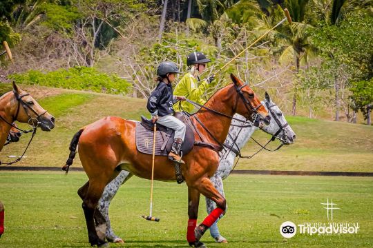 La Patrona Polo & Equestrian Club