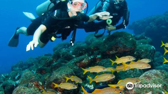 Atalaia Receptivo Noronha