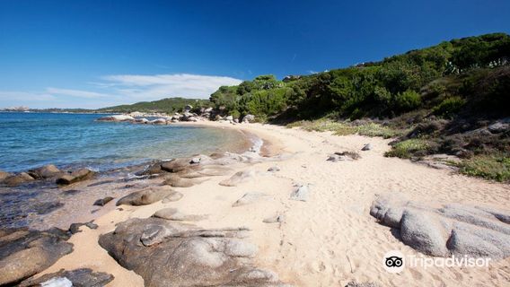 Spiaggia Cala Ginepro e Sa Curcurica