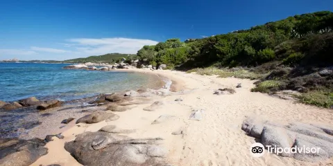 Spiaggia Cala Ginepro e Sa Curcurica