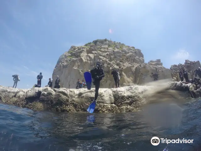 Scuba Diving in Seogwipo
