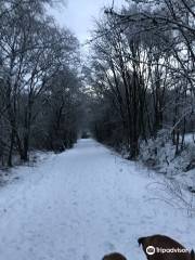 Cumbernauld House Park