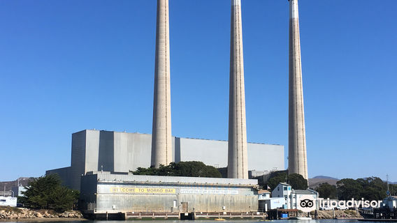 Lost Isle Adventures Harbor Tours & Whale Watching