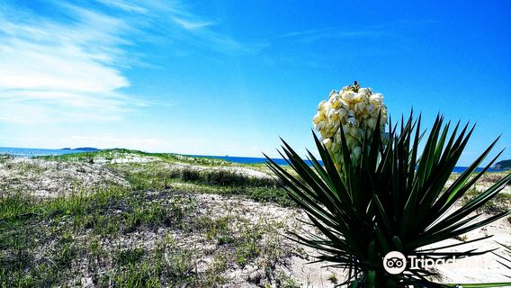 Itapirubá Beach