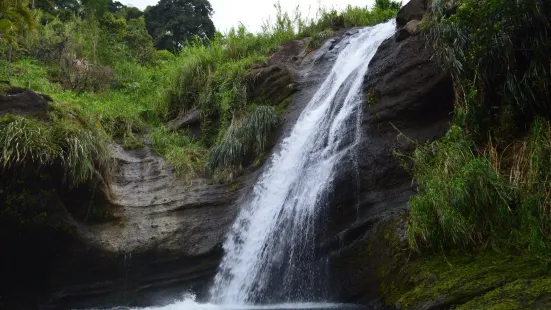 Annandale Waterfall & Forest Park