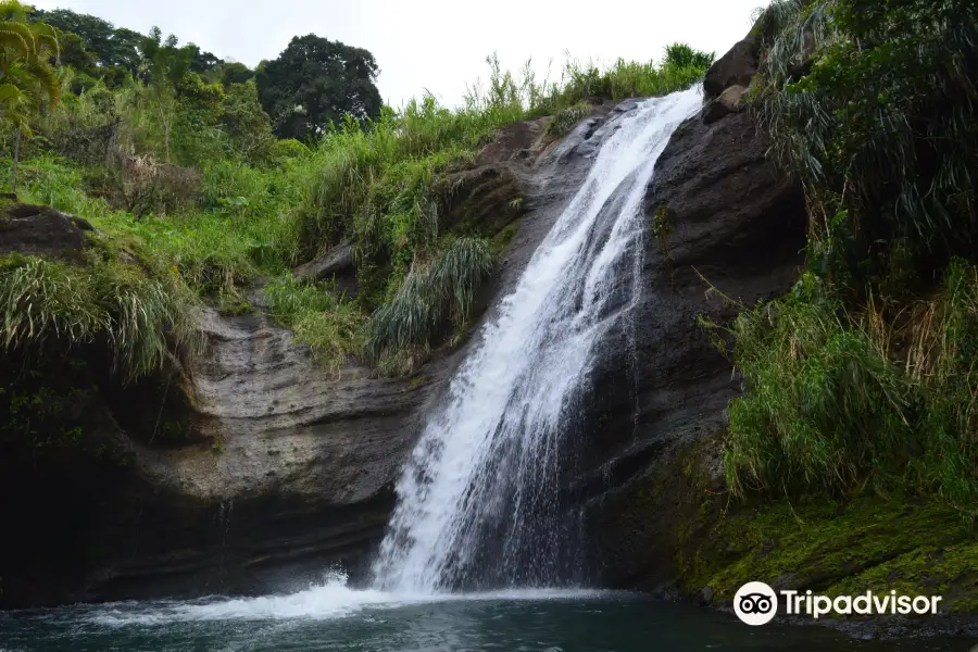 Annandale Falls