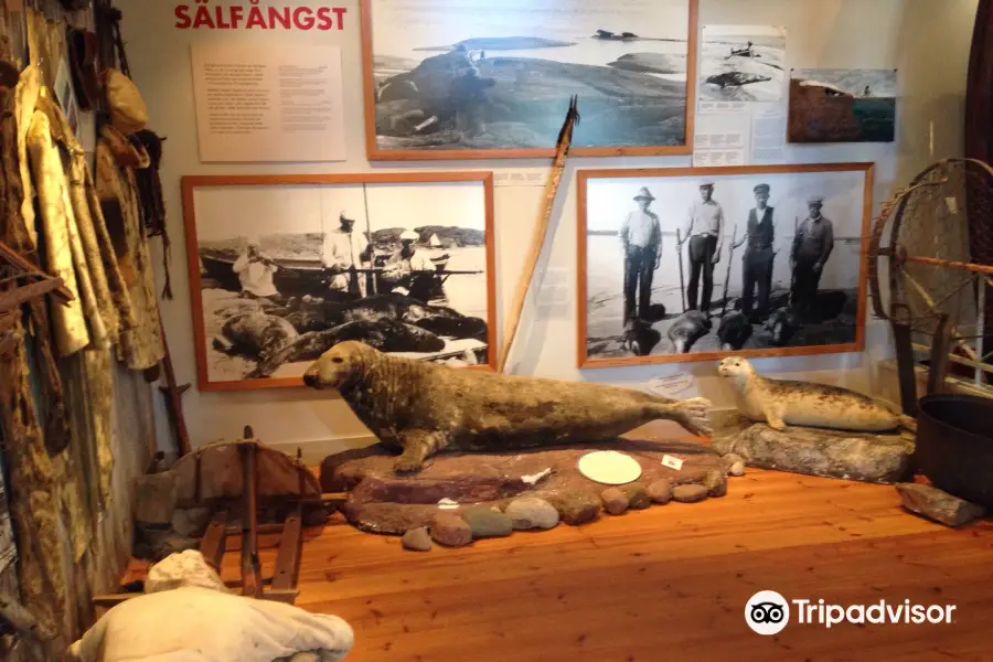 Музей охоты и рыбалки Аландских островов