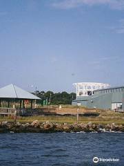 Dauphin Island Sea Lab Estuarium