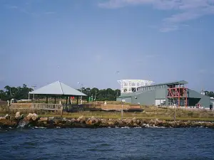 Dauphin Island Sea Lab Estuarium