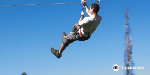 Treetop Quest Gwinnett