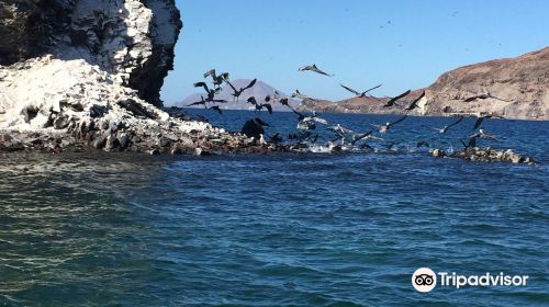 Bahia de Los Angeles