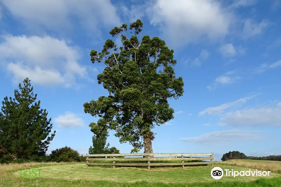 Atiu Creek Regional Park