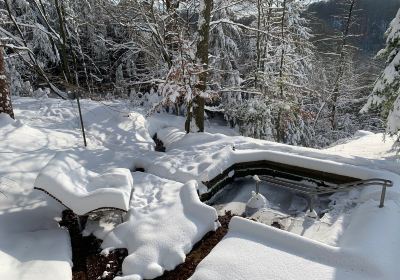 Wassertretbecken an der Sachsenquelle