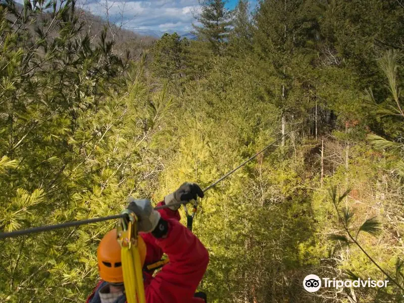 Wildwater Nantahala Rafting & Canopy Tours