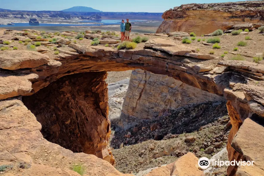 Skylight Arch