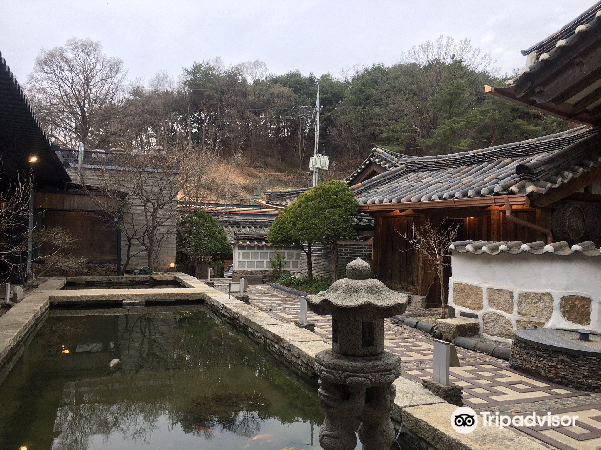 나무향기한증막 티켓 할인, 운영 시간, 후기 [2025년] | Trip.com
