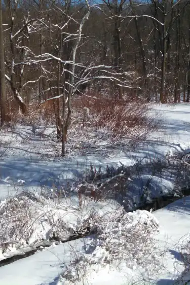 タウソンのホテル