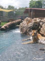 The Catty Shack Ranch Wildlife Sanctuary