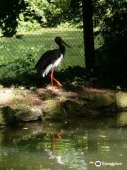 Vogelschutzwarte Weinbergen