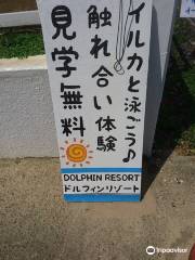 Dolphin Resort