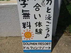 Dolphin Resort