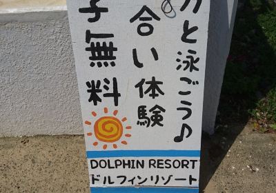 Dolphin Resort