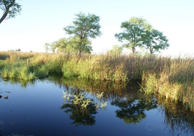 Dragon Tree Soak Nature Reserve