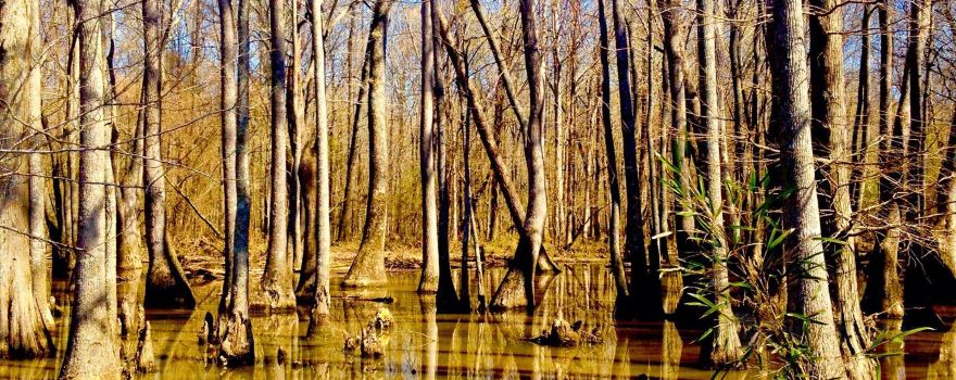 Collierville