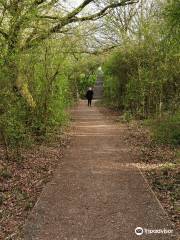 Noak Bridge Nature Reserve