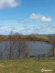 Moorbrook trout fishery