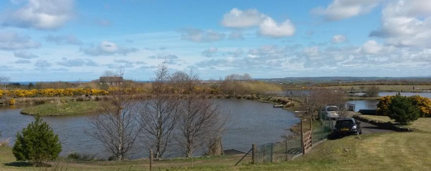Moorbrook Fishery