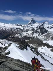 Mettelhorn