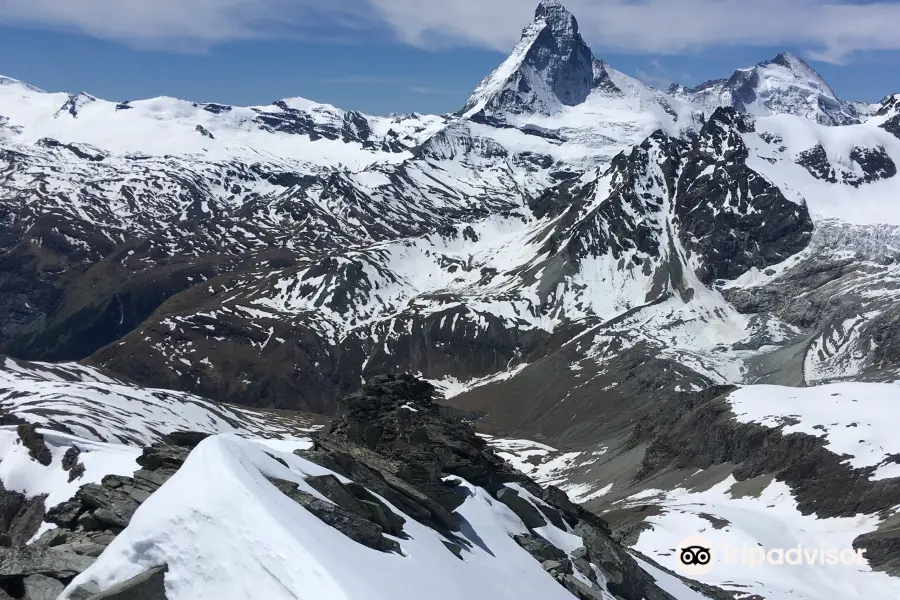 Mettelhorn