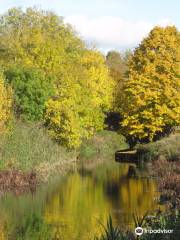 Bridgwater & Taunton Canal