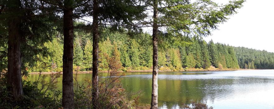 Morton Lake Provincial Park