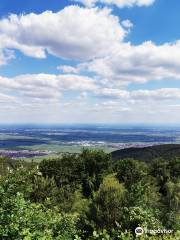 Naturschutzgebiet Kleine Kalmit