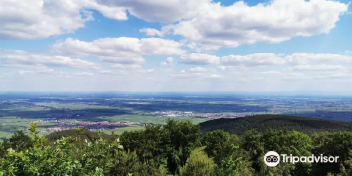 Naturschutzgebiet Kleine Kalmit