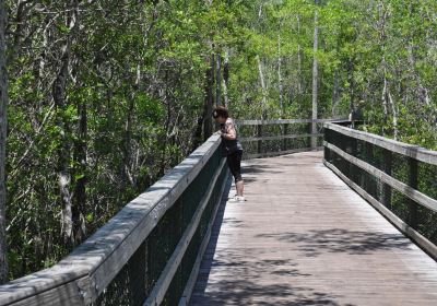 Turkey Creek Nature Trail