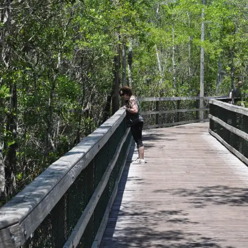 Turkey Creek Park