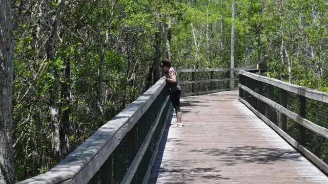 Turkey Creek Park