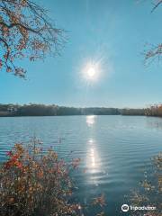 Killens Pond State Park