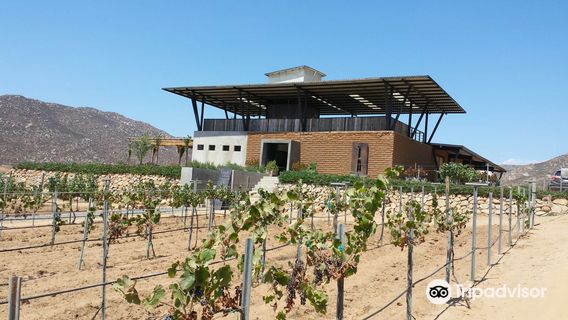 Vinicola Torres Alegre and Family