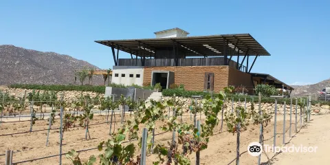 Vinicola Torres Alegre y Familia