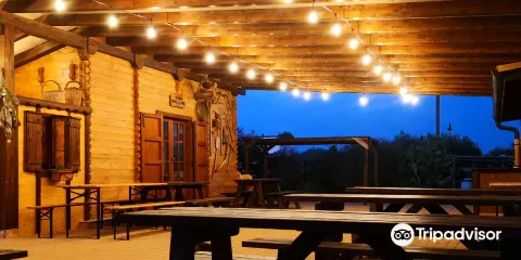 Fattoria Bassa Corte