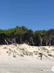 Spiaggia degli Alimini