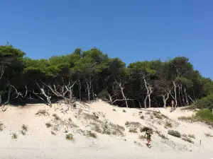 Spiaggia degli Alimini