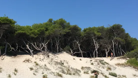 Spiaggia degli Alimini