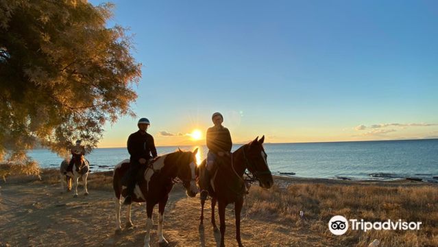 Kardamena Horse Riding Center